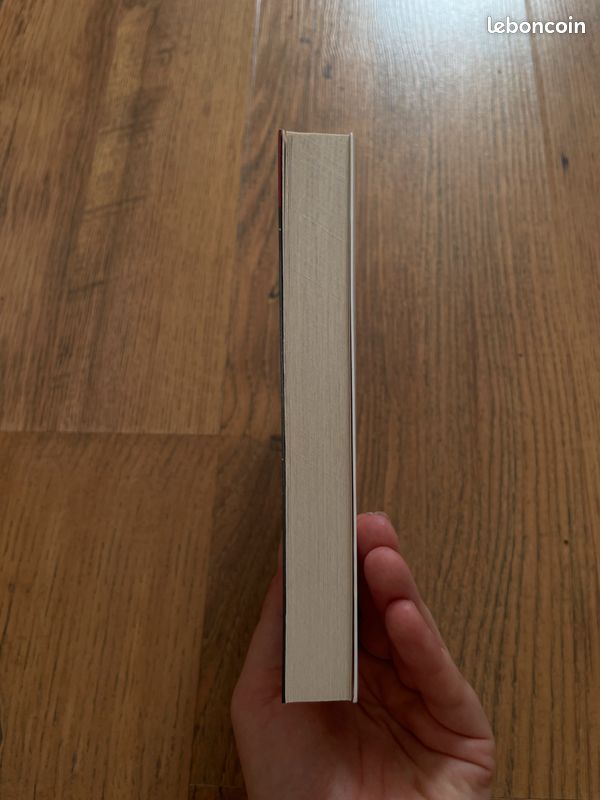 Lot 2 livres new romance (image 7)