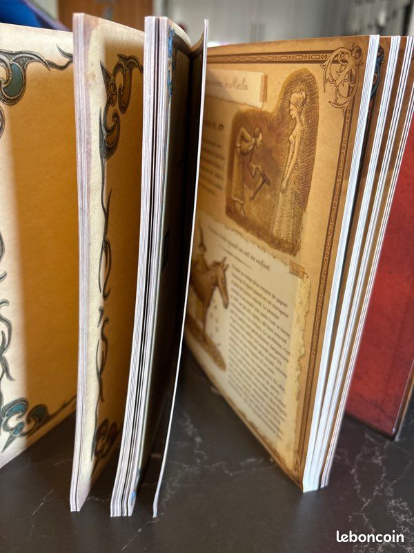 Livre.Le grimoire de Merlin (image 3)