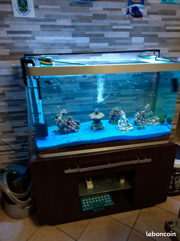 Aquarium osaka 260l (image 2)