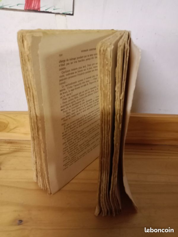 Livre ancien Peter Holz (image 5)