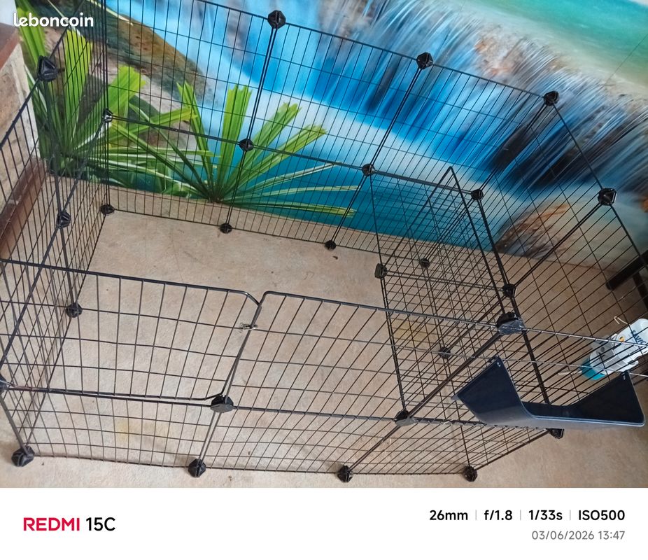 2 cages : 1 Parc double pour cochons d'inde ou lapins nains 50 / 1 écureuils ou volière 30 (image 3)