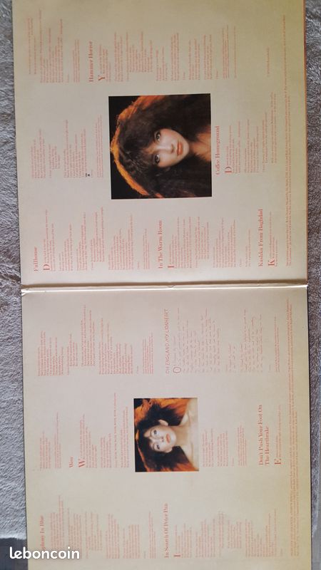 Disque vinyle 33T - Kate Bush (image 2)