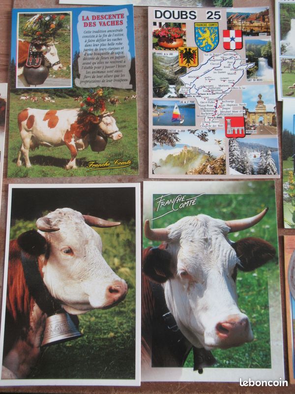 Lot enveloppe et 17 cartes postales de Franche-comté Doubs (image 11)