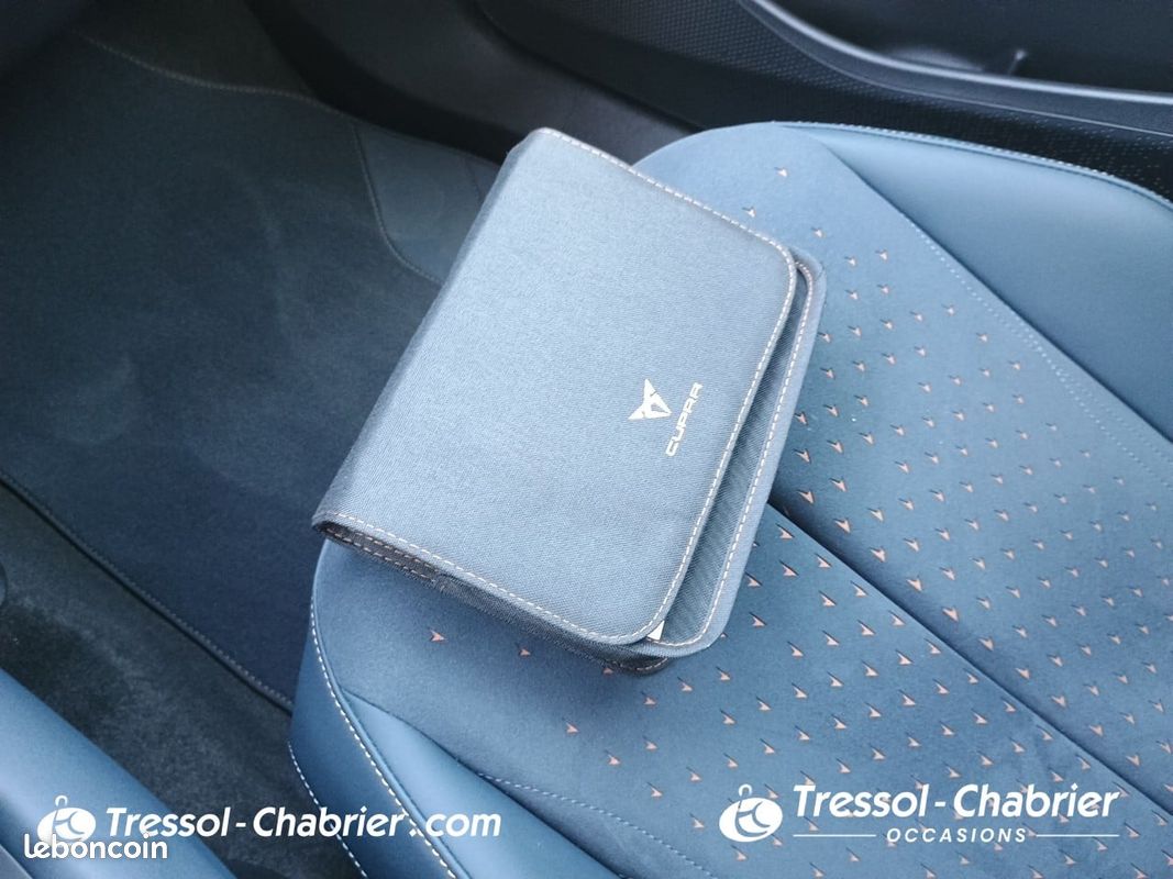 CUPRA Tavascan 286 ch V (image 28)