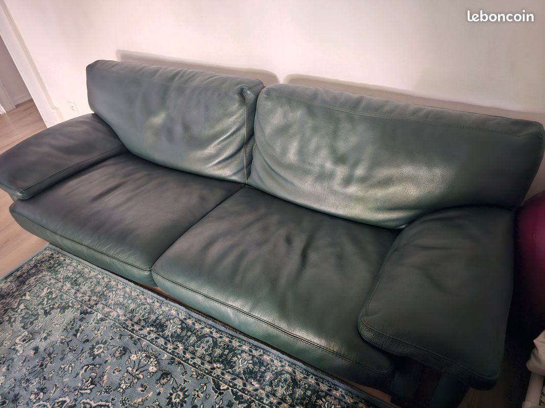 Canape Roche Bobois en cuire (image 1)