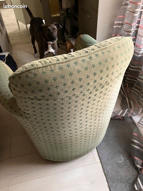 2 fauteuils verts à motifs (image 3)