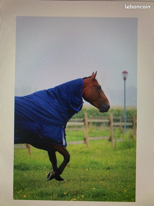 Chemise De Sport équine Equine Couture Nicole - 2X Marine - Neuve