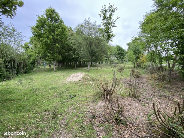 Terrain 4500 m² Iffendic