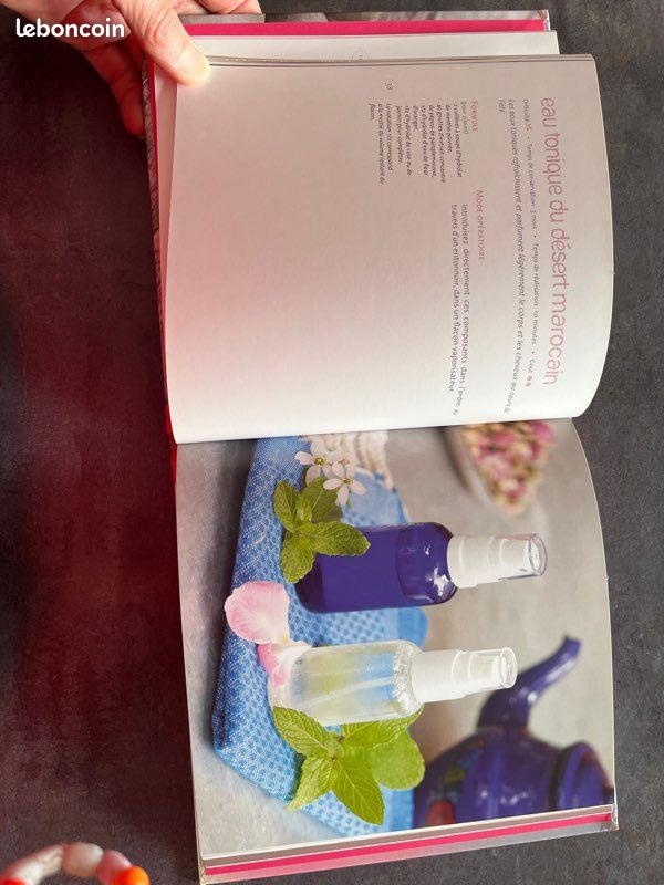 : Mes cosmétiques naturels faits maison (image 3)
