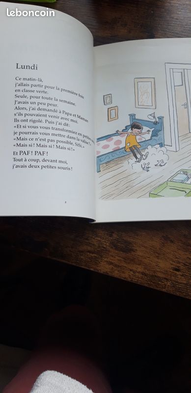 Livre Les classes vertes (image 3)