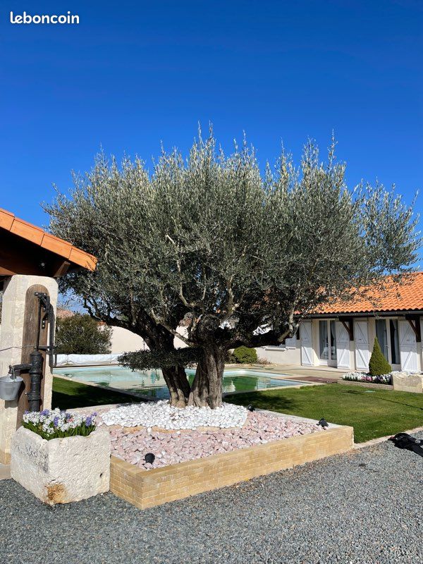 Maison 6 pièces 192 m² · à Saint-Jean-de-Liversay · 192 m² · 385 000 €