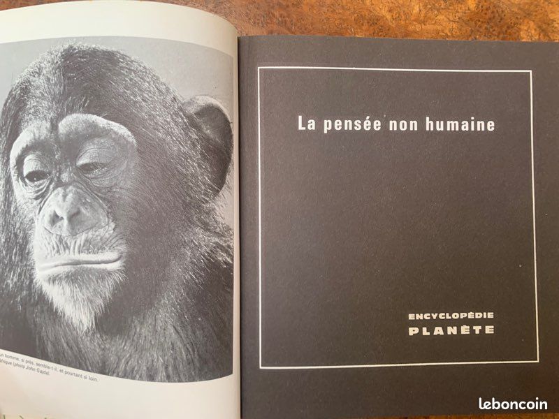 La pensée non humaine - encyclopédie planète (image 2)
