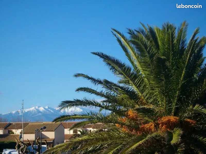 Appartement climatisé 5 place Saint Cyprien plage (image 8)