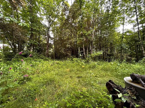 Terrain 2 352 m² Ladignac Le Long