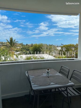 Appartement 1 pièce 29 m²