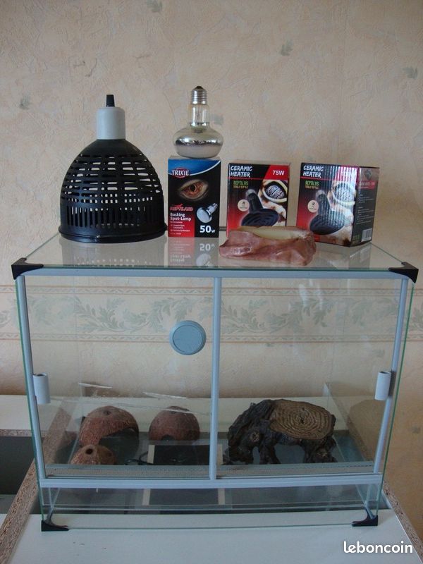 Terrarium (image 1)
