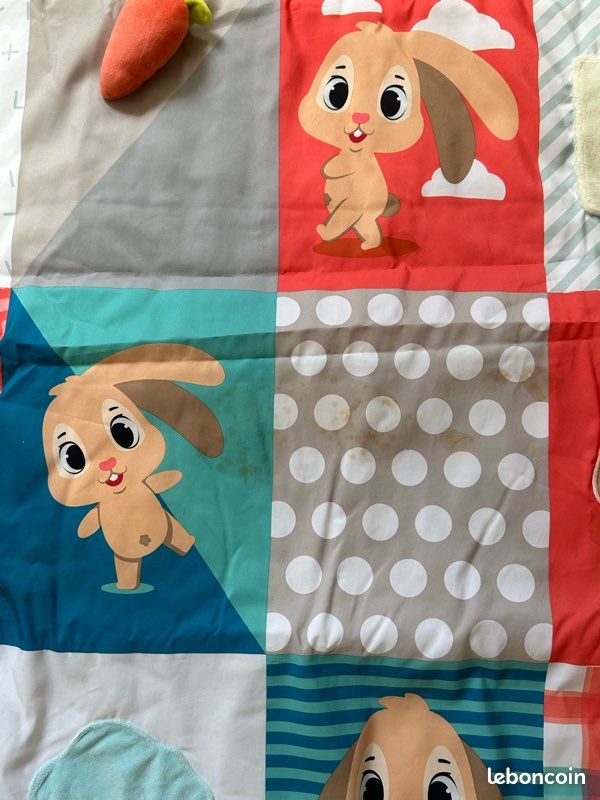 Tapis d’Eveil pour Bébé Multicolore (image 3)