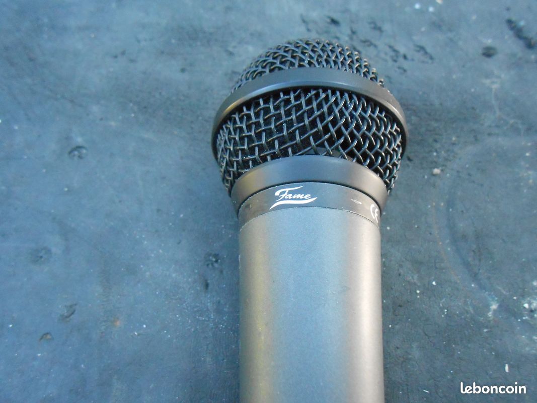 Micro chant fame (image 4)