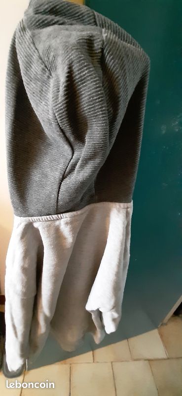 Sweat Capuche jurassic (image 2)