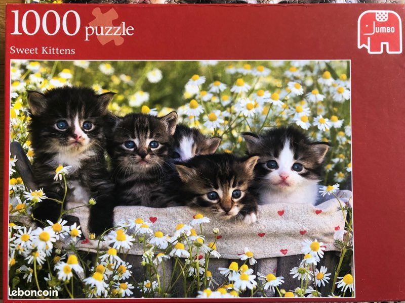 Puzzle 1000 pièces Chatons (image 1)