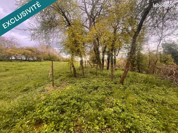 Terrain 5500 m² ARCY-SAINTE-RESTITUE
