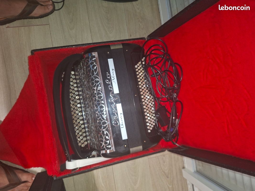 Accordéon cavagnolo vedette10 midi hf et micros hf (image 1)