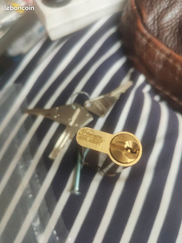Cylindre vachette ASSA ABLOY 30/60,l (image 4)