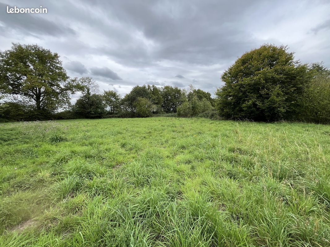 Terrain 2197 m² · à Rouez · 2 197 m² · 12 000 €