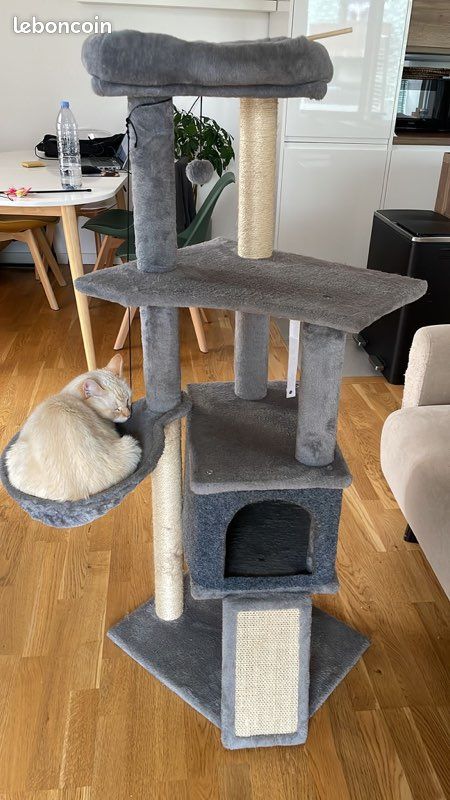 Arbre à chat (image 1)