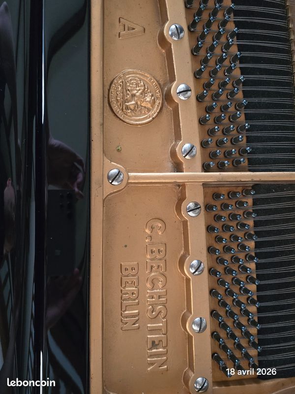 Piano quart de queue C. Bechstein model A 185cm (image 10)