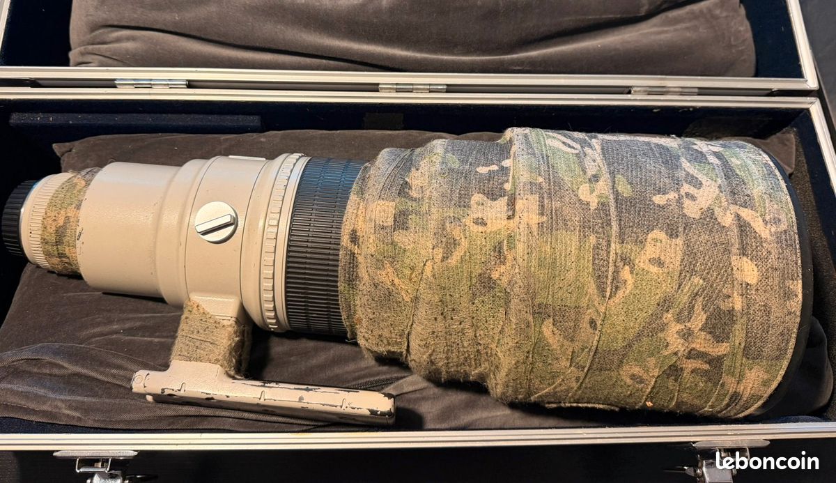 Canon EF Téléobjectif 400 mm f/2.8 L (image 1)