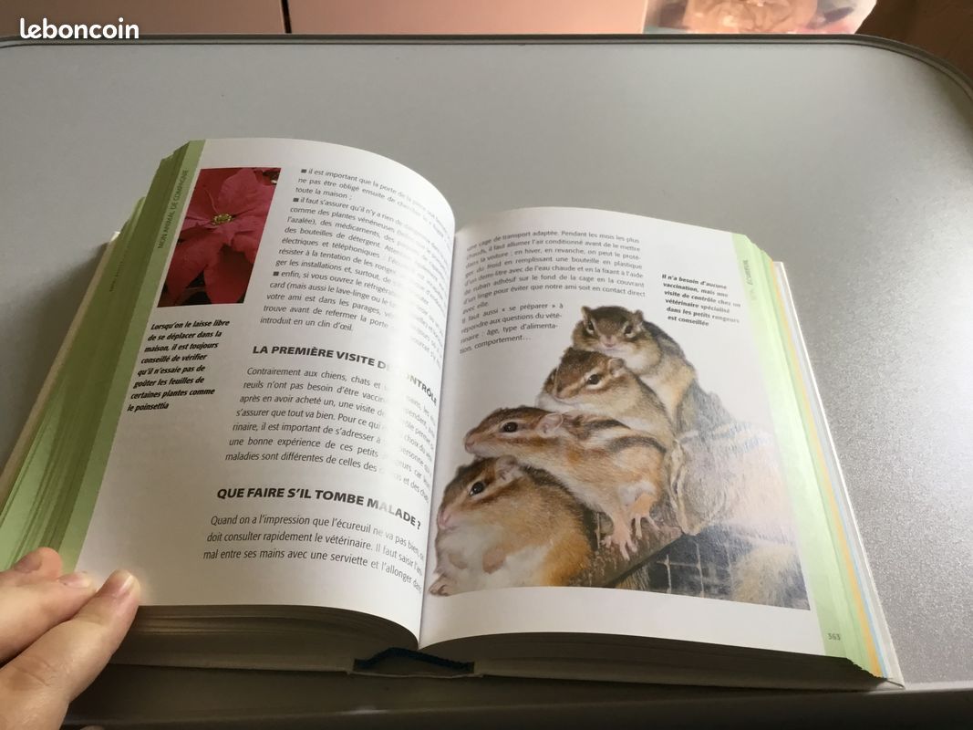 Mon Animal de Compagnie (image 7)