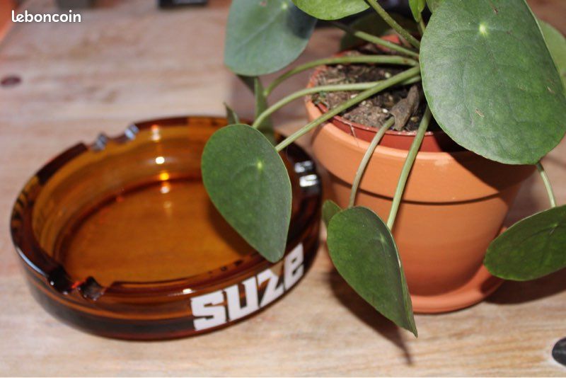 Cendrier suze (image 2)