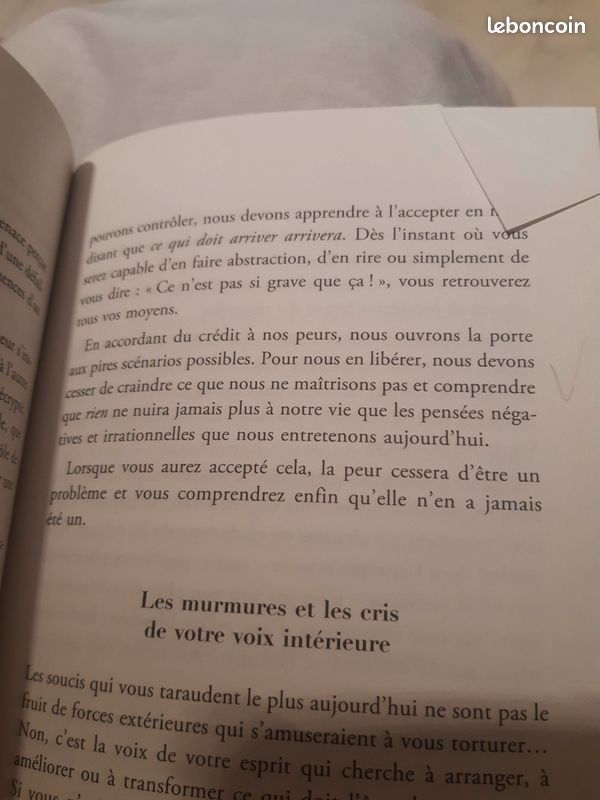 Uniquement en Martinique Livre La montagne c´est toi de Brianna wiest (image 2)