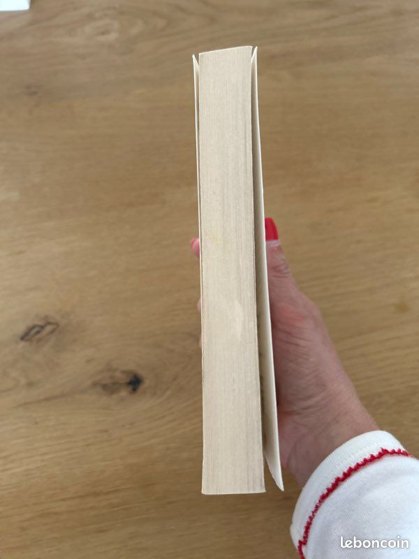 Livre Cécelia Ahern « les jours meilleurs « (image 4)