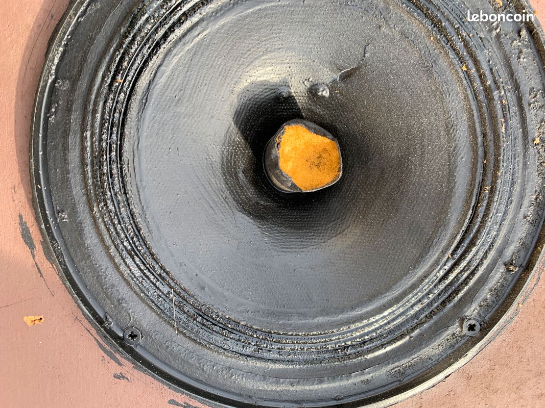 Paire d'enceinte baffle haut-parleur hifi vintage JMR Jean Marie Reynaud Saltarelle Série 2 (image 13)