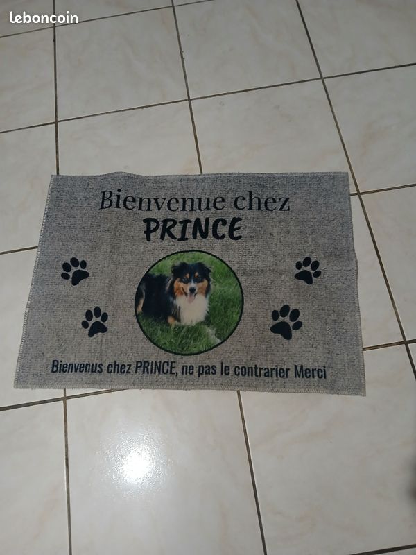 Tapis pour chien personalisé 69x49 Prince (image 1)