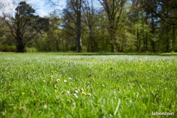 Terrain 609 m² Baisieux
