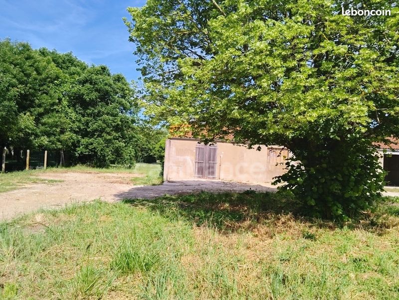 Maison 1 pièce 55 m² (image 1)