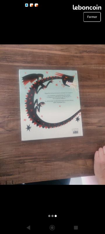 Livre enfant "Un dragon, même pas peur" (image 3)