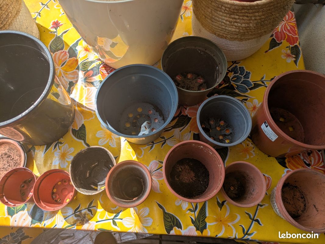 Pots et cache pot plantes (image 1)