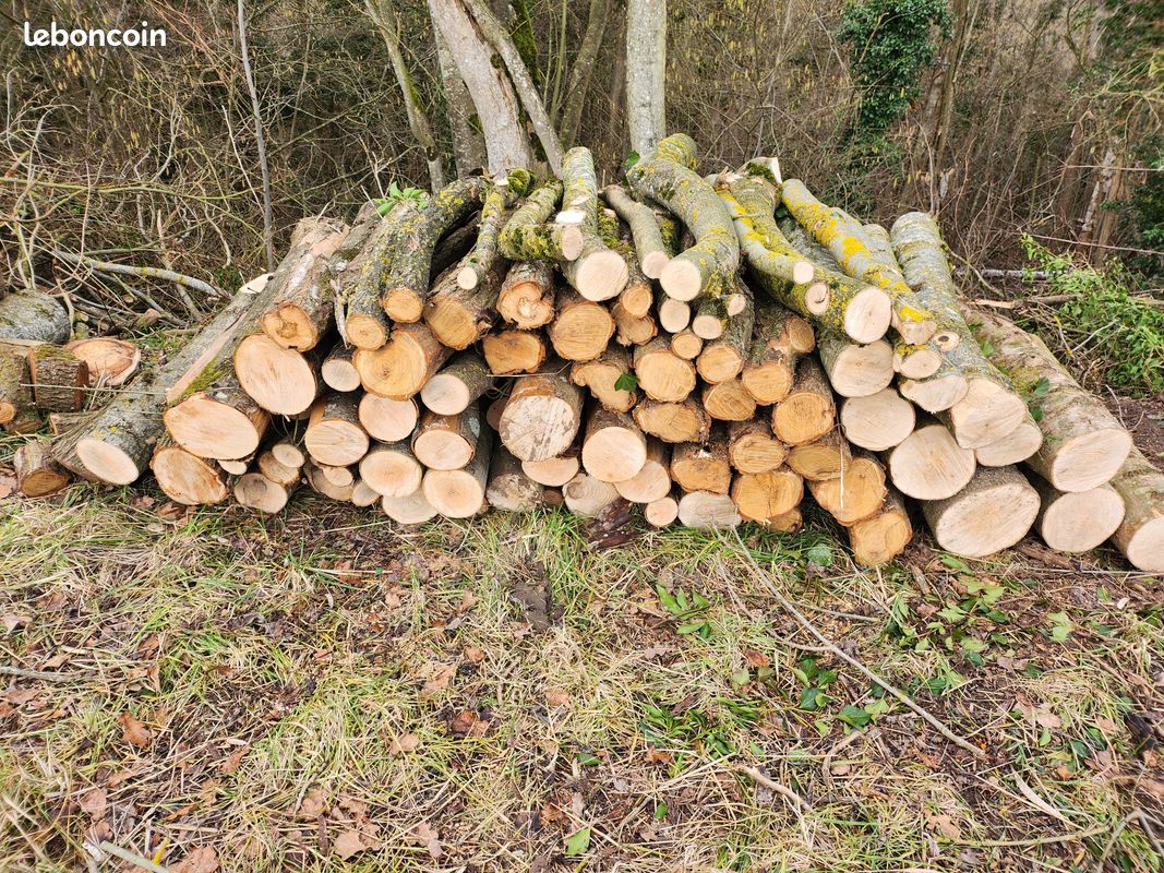 Bois (image 6)