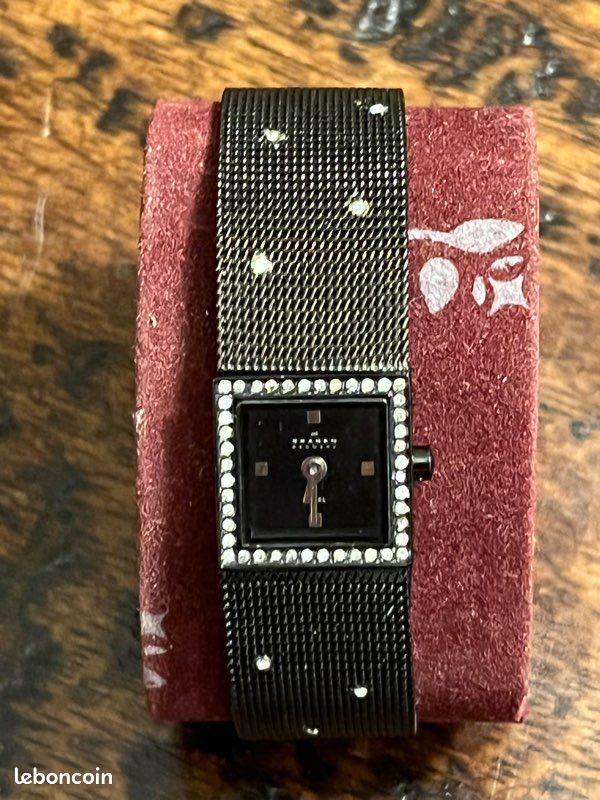 Montre SKAGEN Femme (image 1)