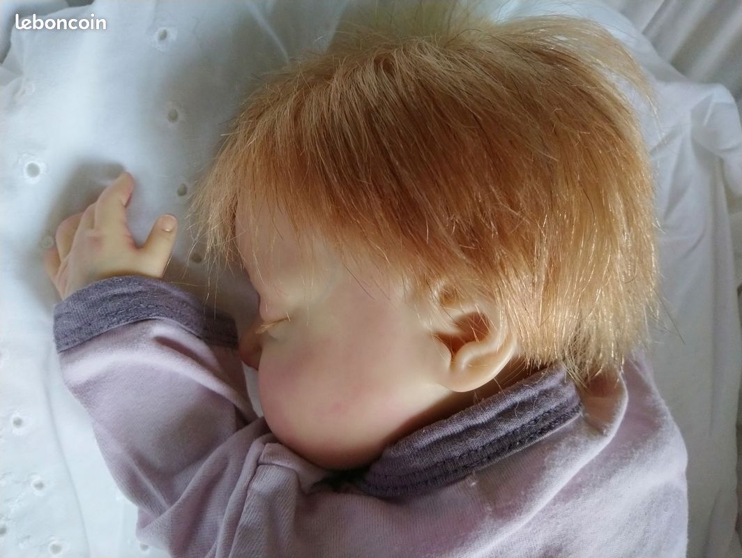 Bébé Reborn (image 7)