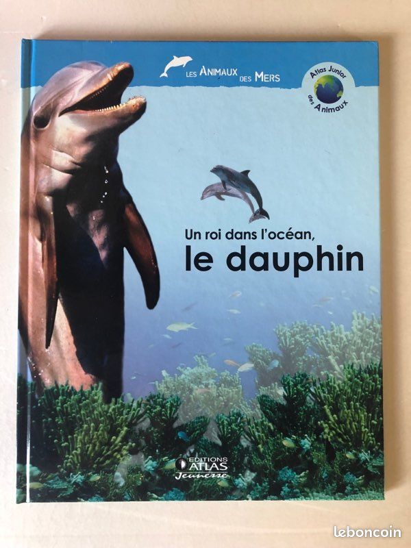Un roi dans l’océan, le dauphin (image 1)
