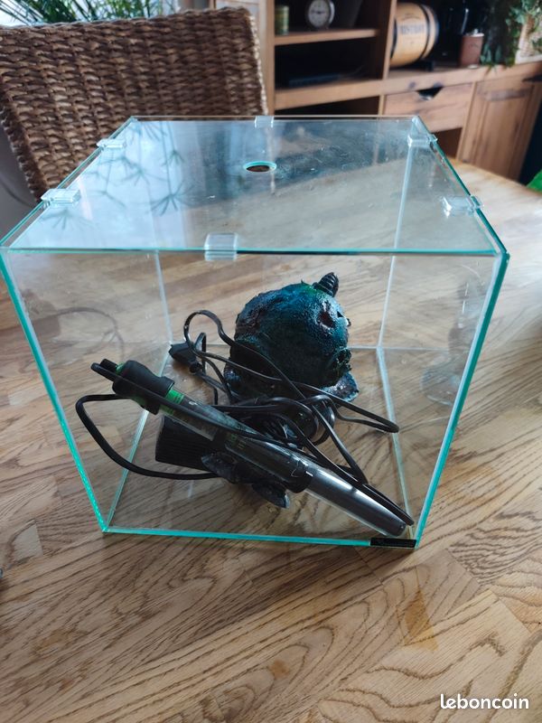 Aquarium (image 2)