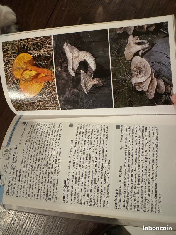 Guide Vigot des champignons (image 3)