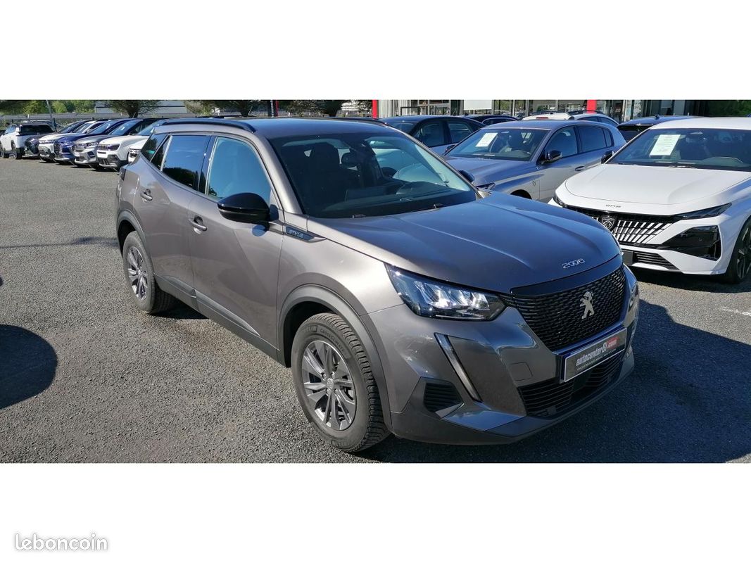 PEUGEOT 2008 1.5 BlueHDi 110 Style +CAMERA (image 24)