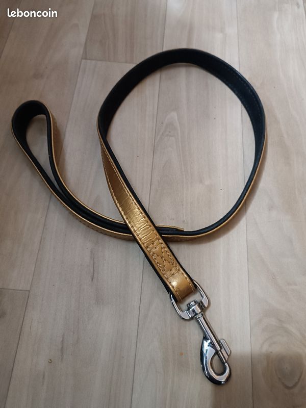 Laisse chien 90 CMS neuve dorée mousqueton (image 3)