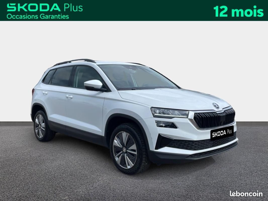 Skoda Karoq 2.0 TDI 116 ch SCR DSG7 Business (image 7)